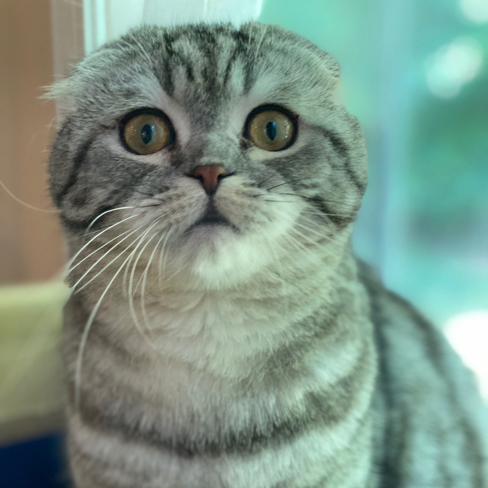 Meet your Posher, Jaime